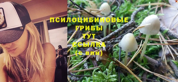 не бодяженный Беломорск