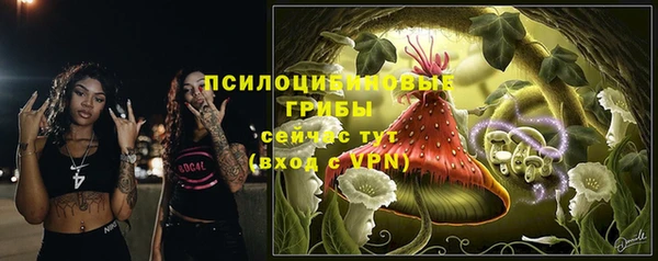 амфетамин Белокуриха