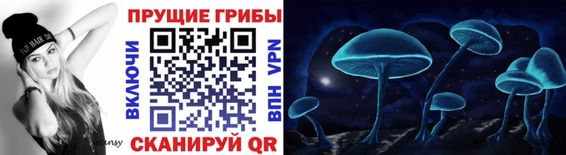 ссылка на мегу зеркало  Няндома  Псилоцибиновые грибы мицелий  закладка 